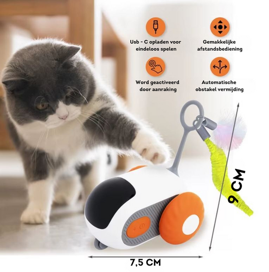 MetuX® - Interactief Auto Kattenspeeltjes - Dierenspeelgoed - Turquoise